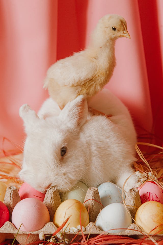Pâques